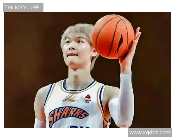 王哲林篮板表现分析及其对球队胜负的影响探讨